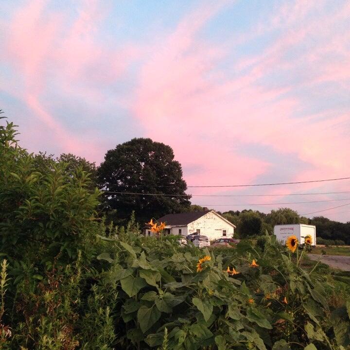 Photo credit: nextdoor