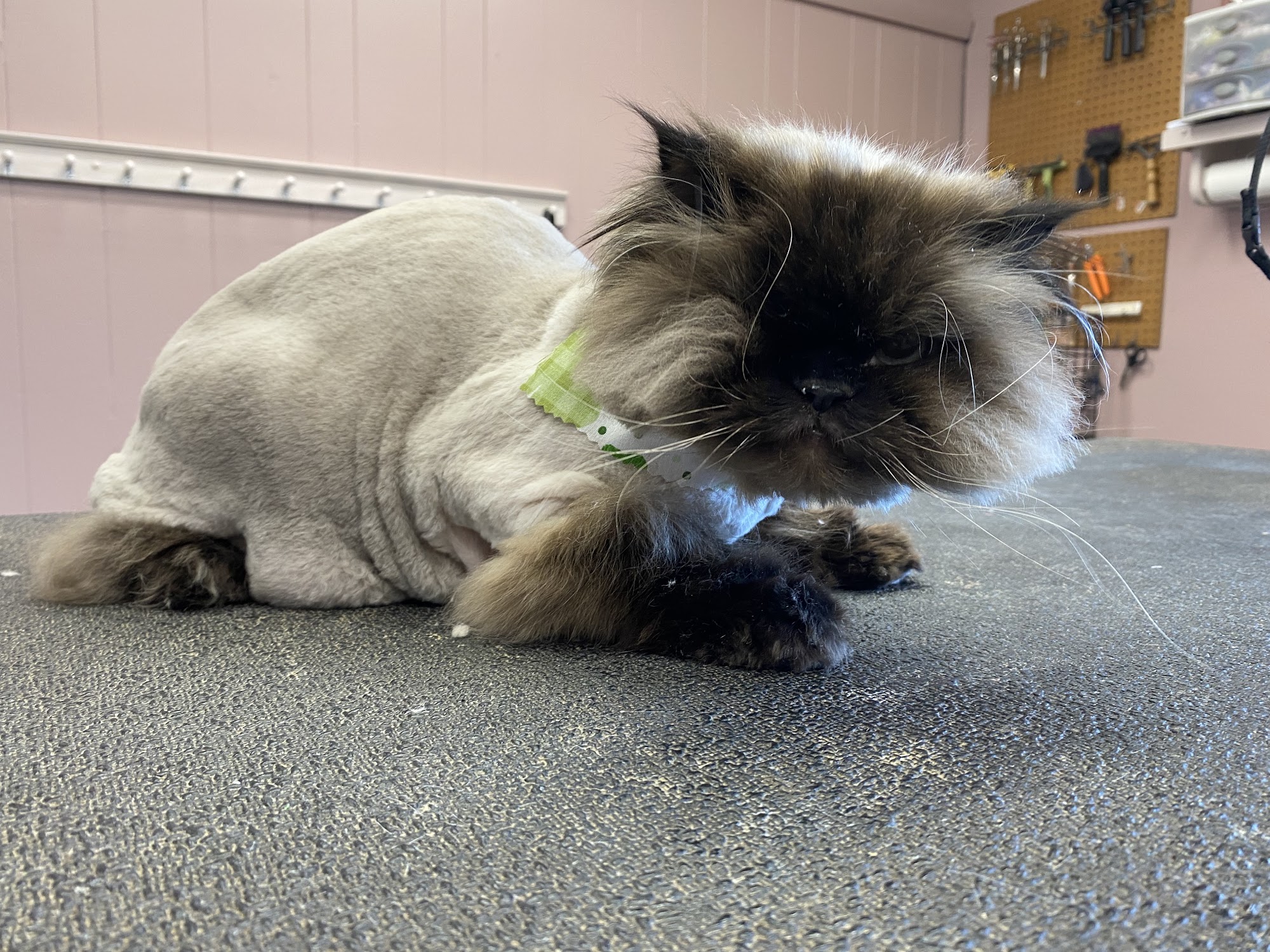 Groomingdales Billerica