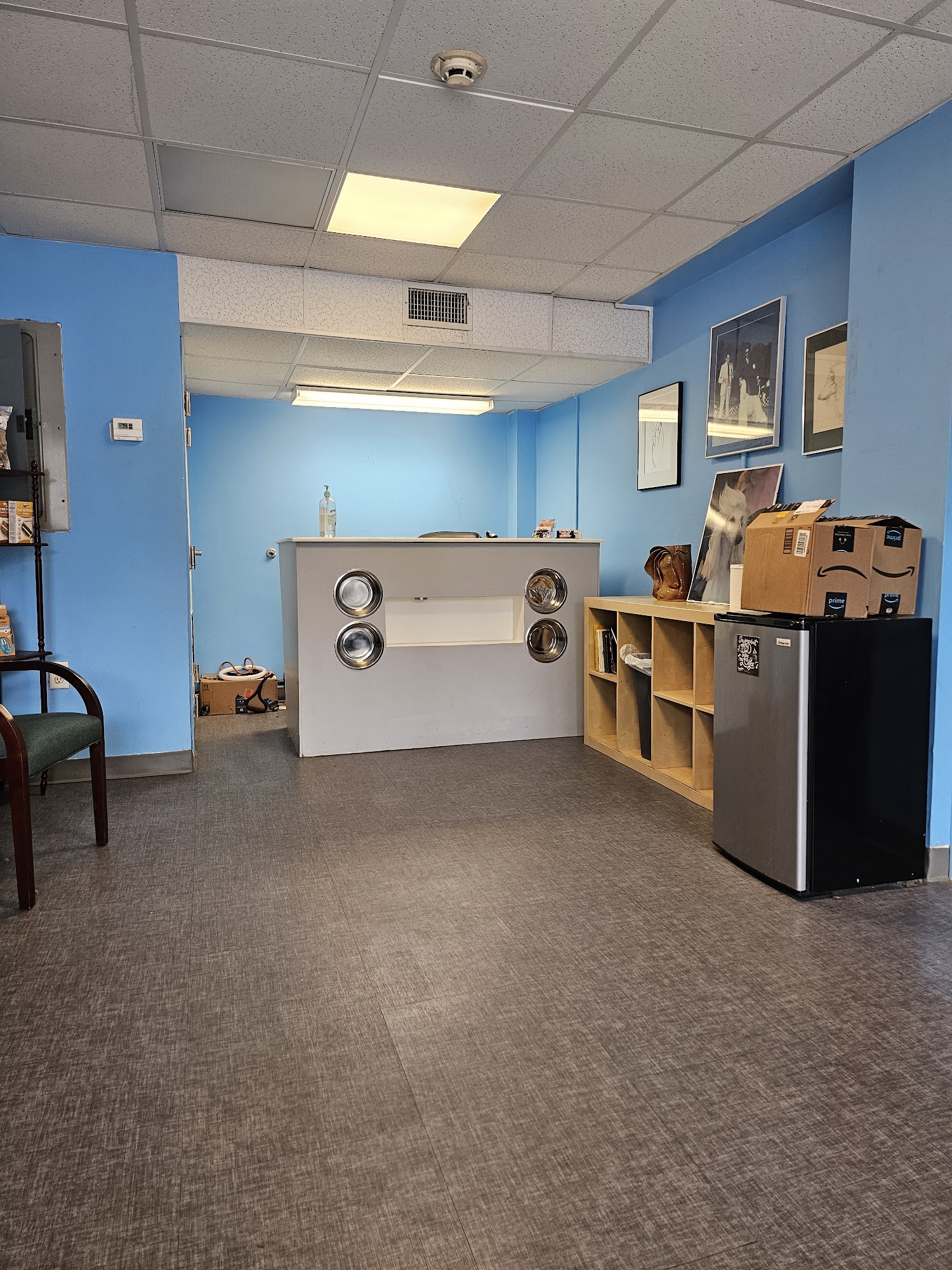 La-Chic Dog-Cat Grooming Salon Boston