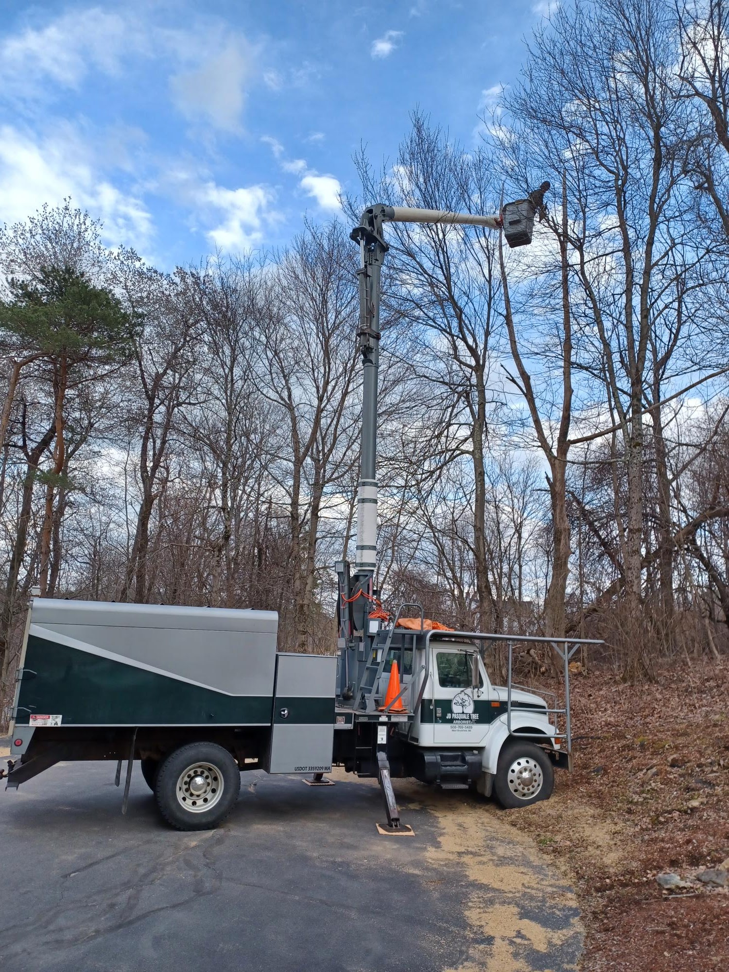 J.D. Pasquale tree service “Arborist” 10 Wells Rd, Brookfield Massachusetts 01506