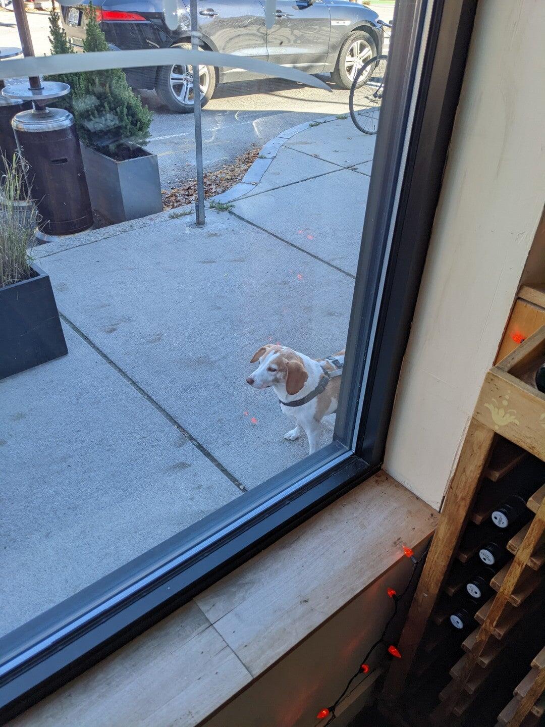 Photo credit: nextdoor