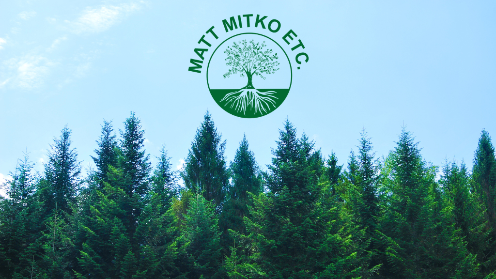 Matt Mitko Expert Tree Climber
