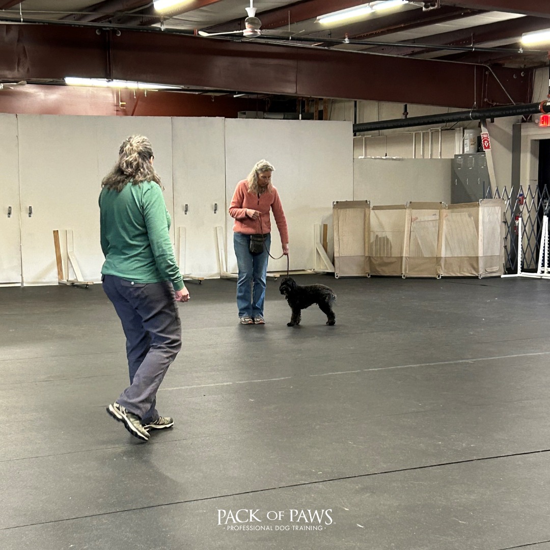 Pack of Paws Dog Training 26A Trolley Crossing Rd, Charlton Massachusetts 01507