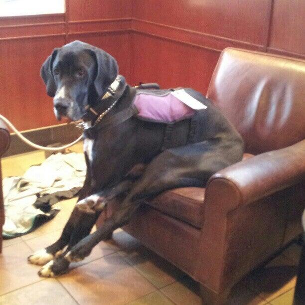 Photo credit: nextdoor