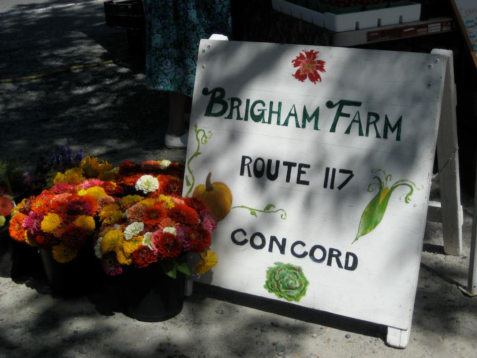 Brigham Farm