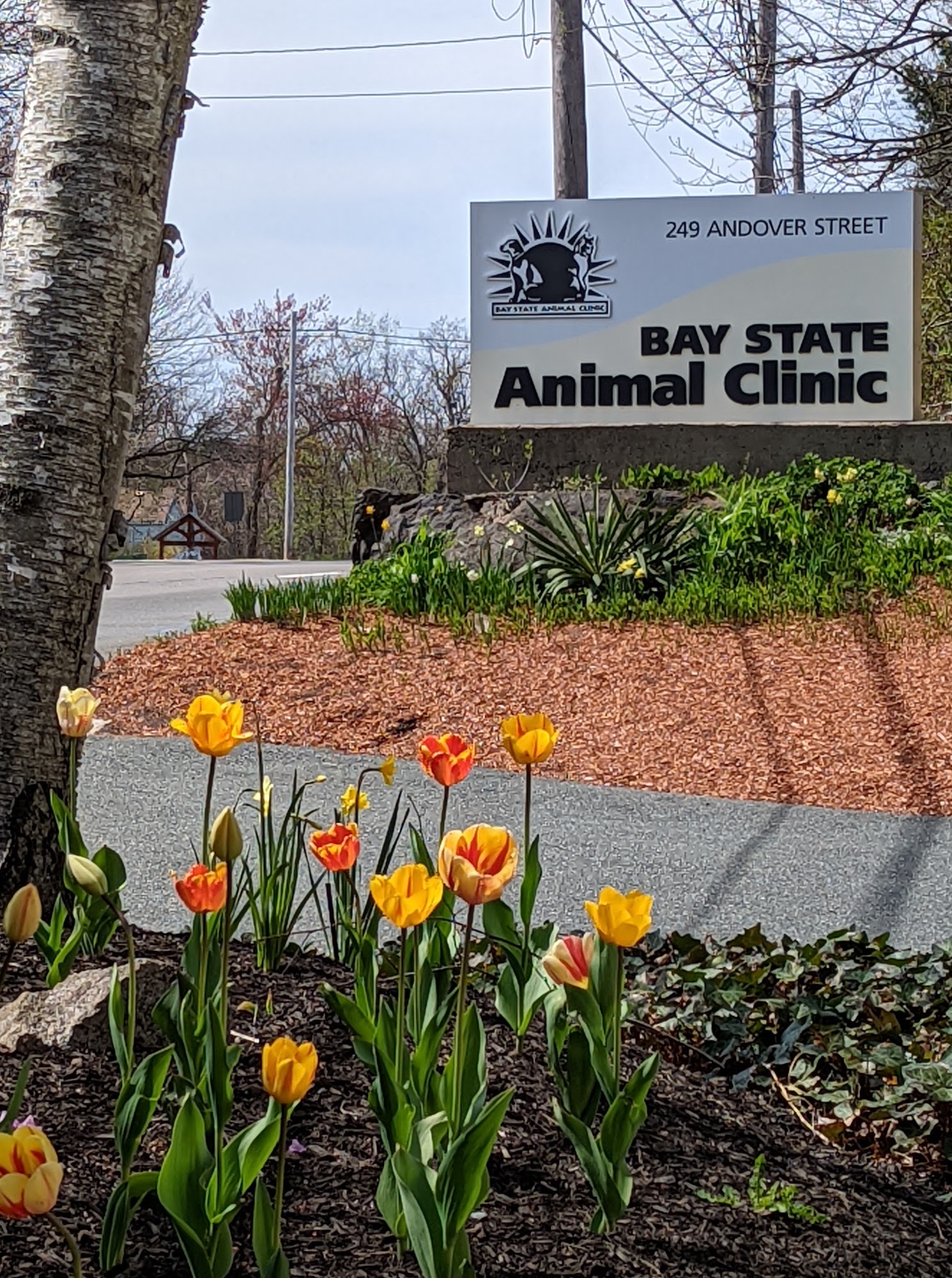 Bay State Animal Clinic