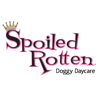 Spoiled Rotten Doggy Daycare Danvers