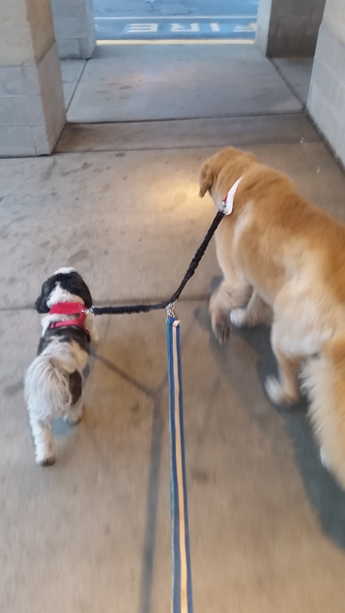 Mark R Joly Building & Remodel