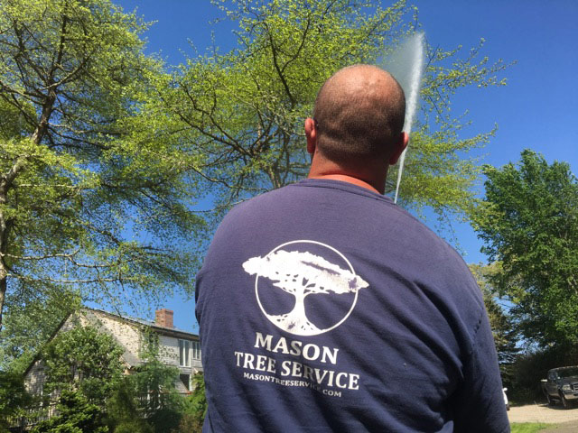 Mason Tree Service 544 MA-28, Harwich Port Massachusetts 02646