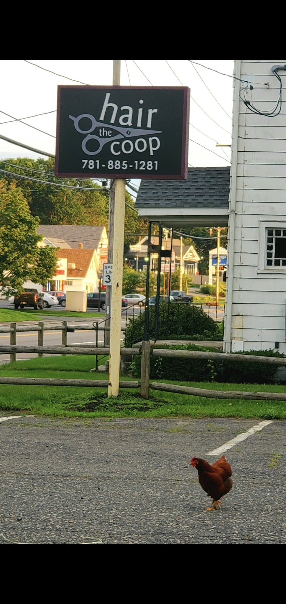 The Hair Coop Salon