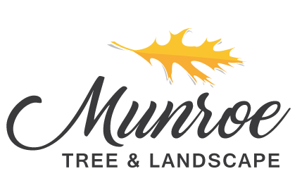 Munroe Tree & Landscape