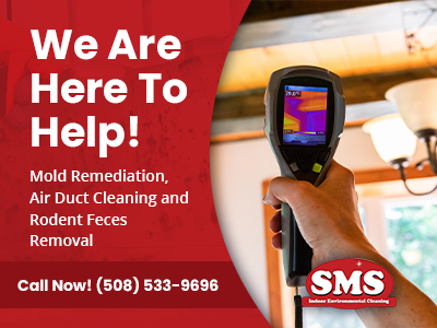 SMS Indoor Environmental Cleaning Inc. 11 Awl St # 2, Medway Massachusetts 02053