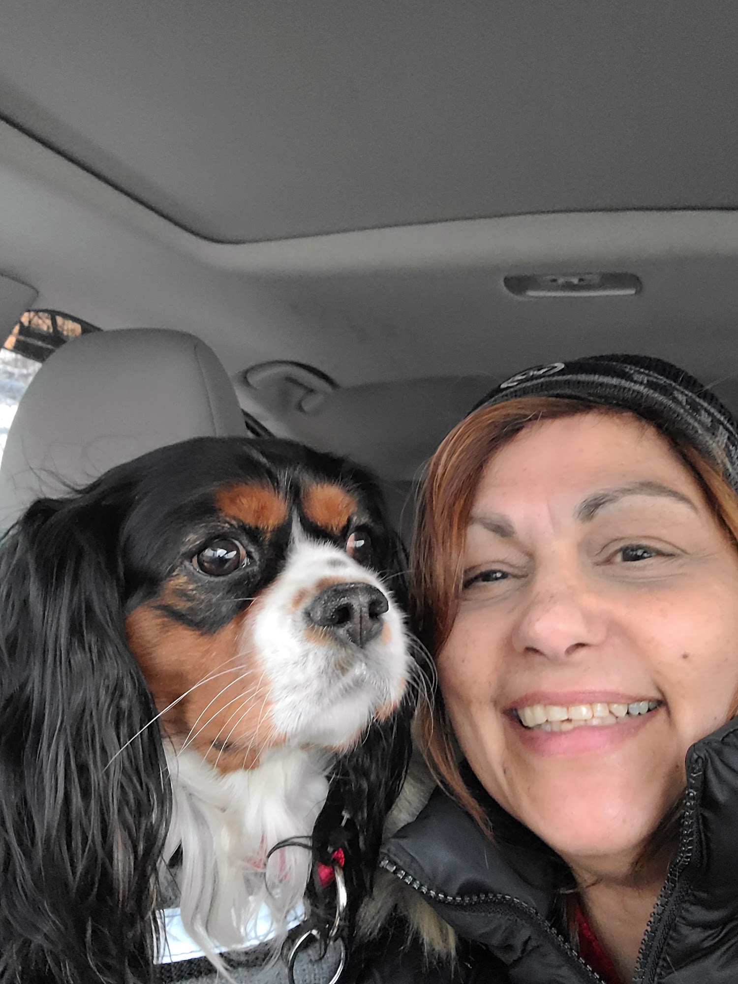 What A Nice Dog Melrose