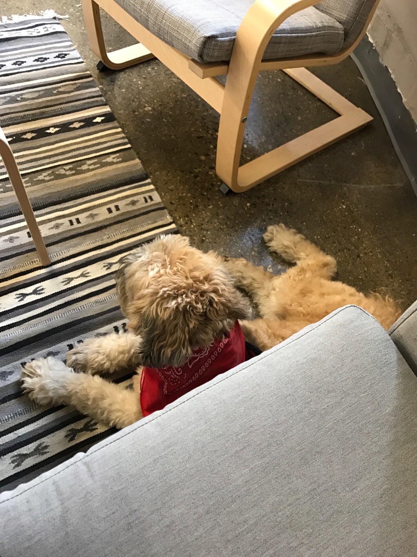 Photo credit: nextdoor