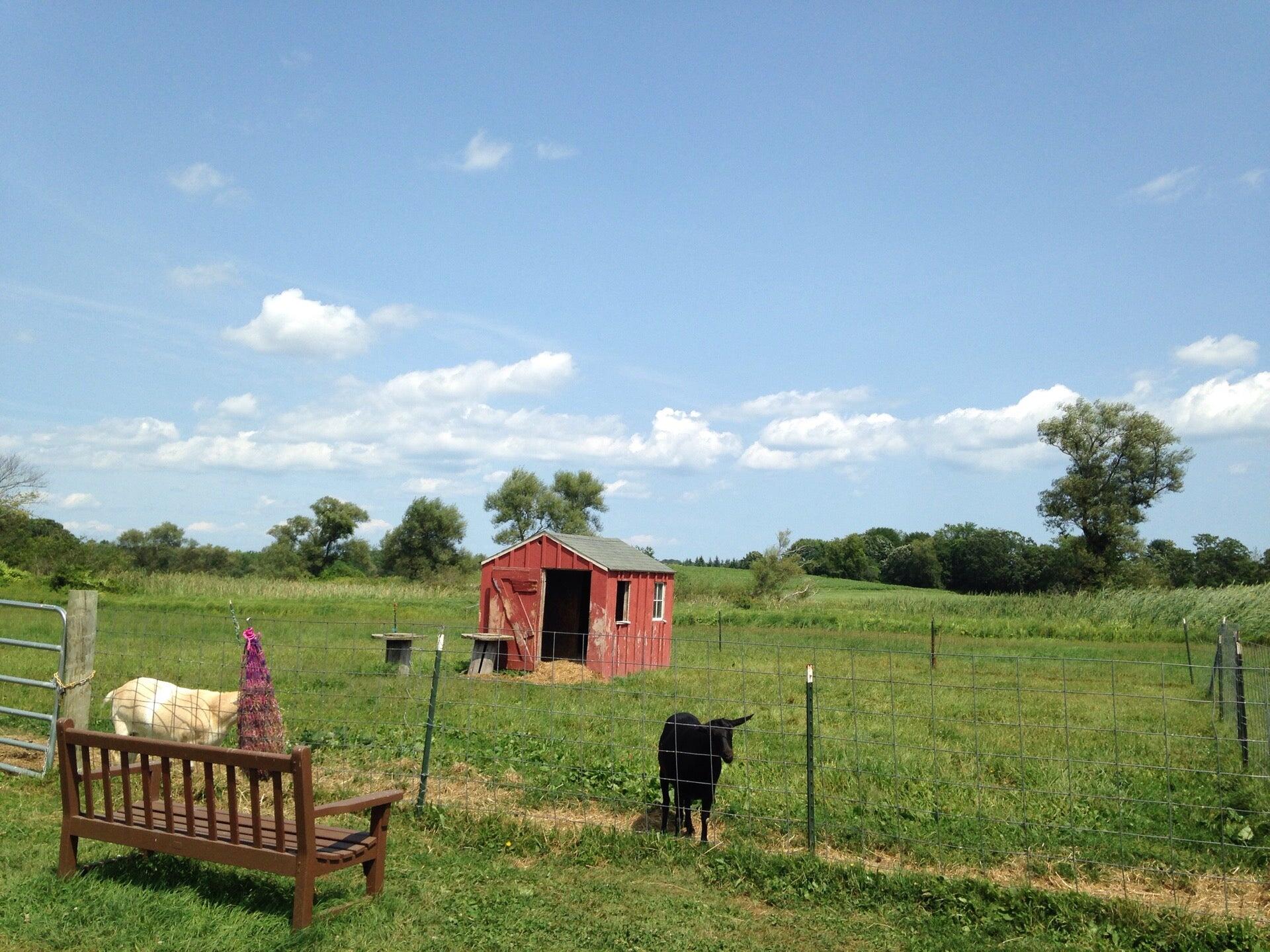 Photo credit: nextdoor