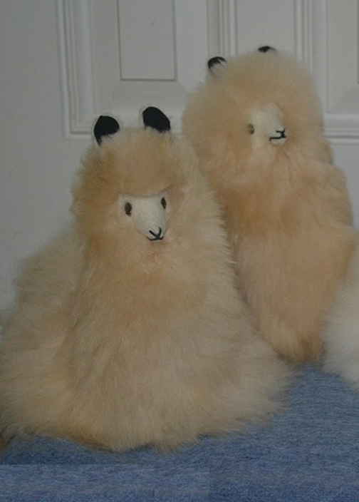 Angel Hair Alpacas