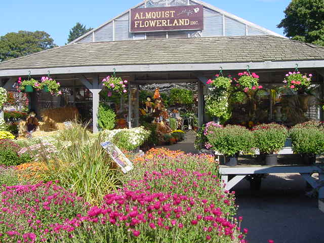 Almquist Flowerland