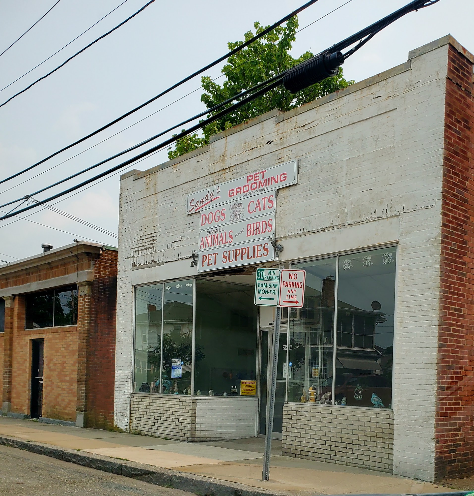 Sandy's Pet Grooming Quincy