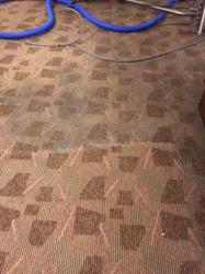 Steve Fiorino Carpet Cleaning