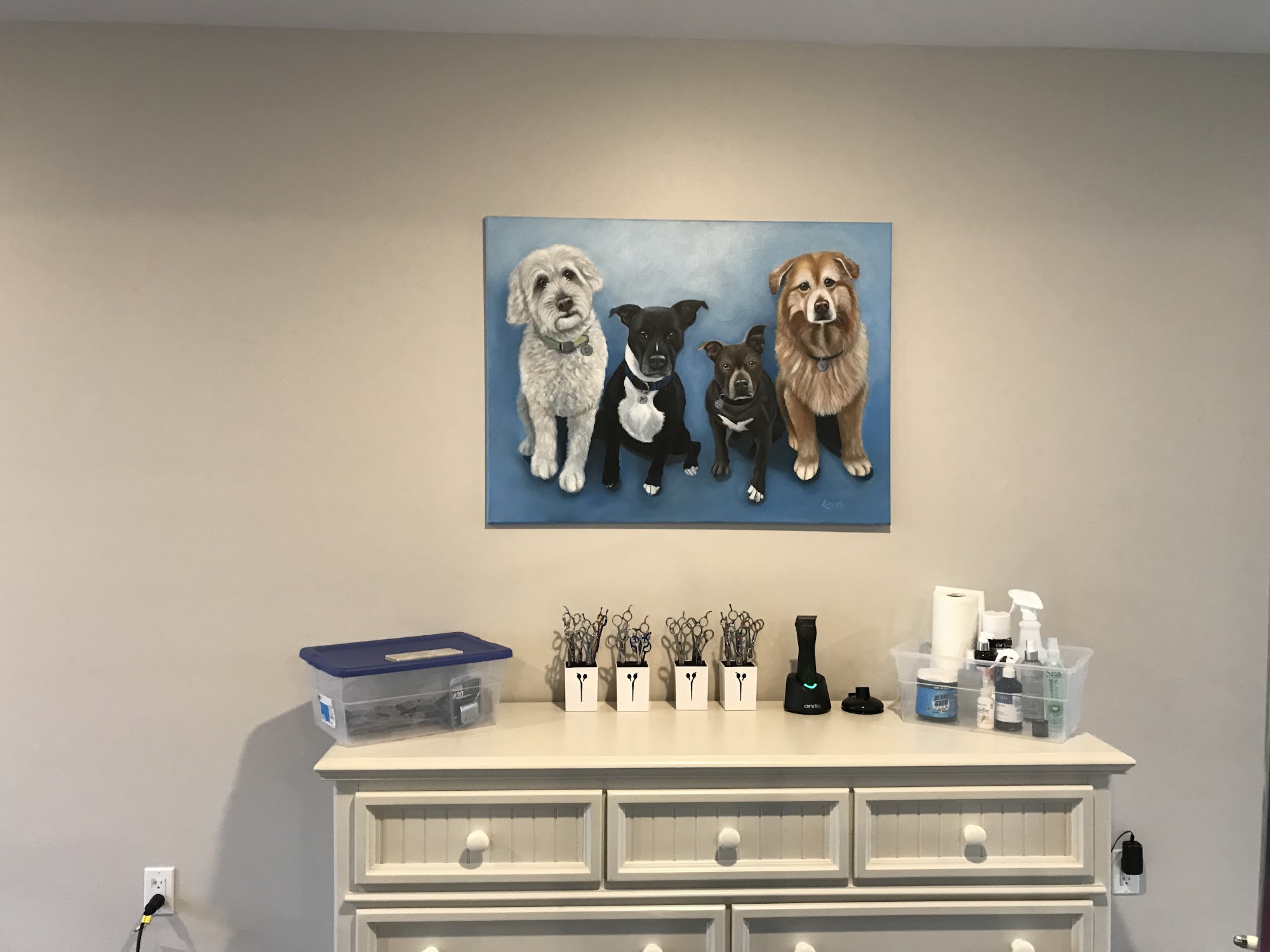 Seaside Pet Spa 50 Country Way A 102, Scituate Massachusetts 02066
