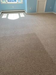 Boyle's Carpet Cleaning