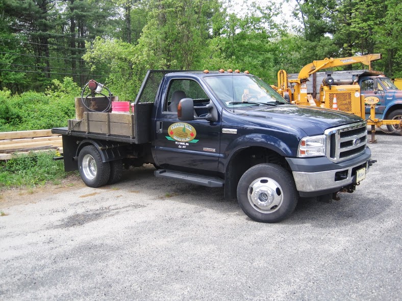 Canadian Tree Expert 417 Belchertown Rd, Ware Massachusetts 01082