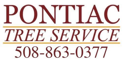 Pontiac Tree Services