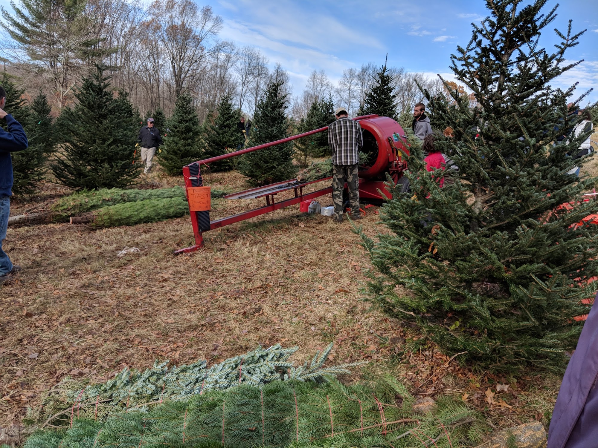 Crane Neck Christmas Tree Farm