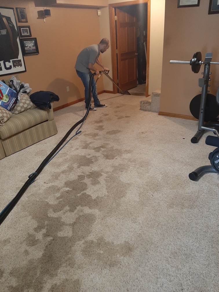 Westfield Carpet Cleaning