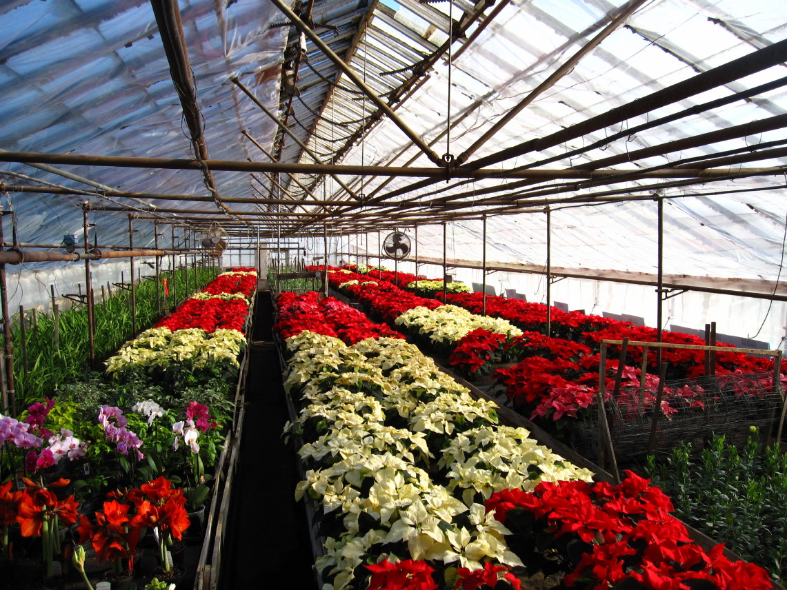 LaSalle Florists and Greenhouses
