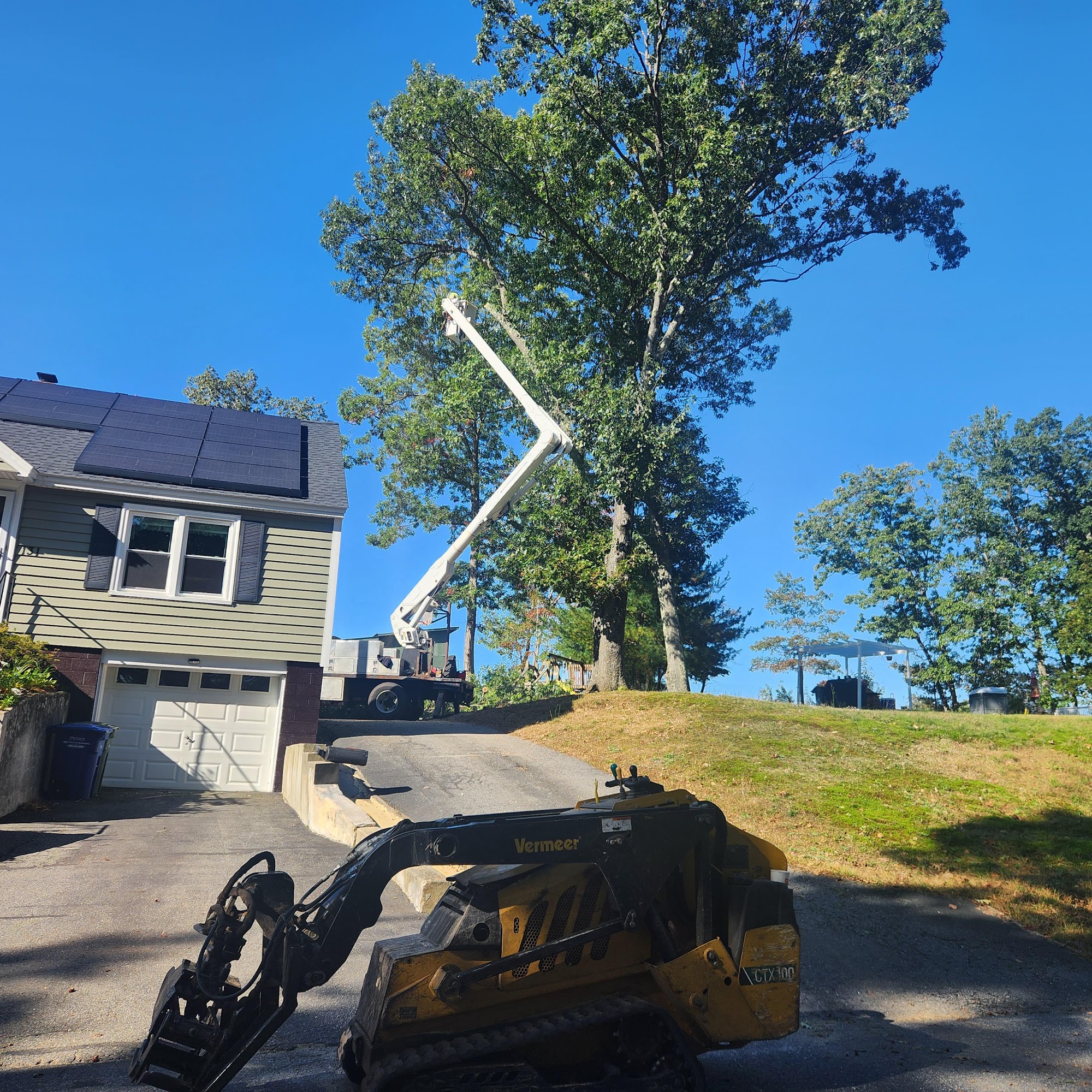 Elevation Tree Service