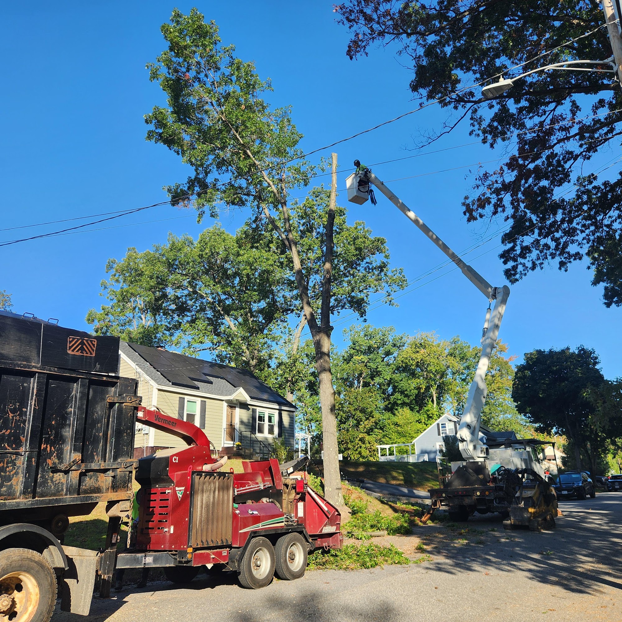 Elevation Tree Service 669 Spring St, Winchendon Massachusetts 01475