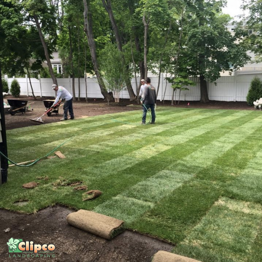 Clipco Landscaping 972R Main St, Winchester Massachusetts 01890