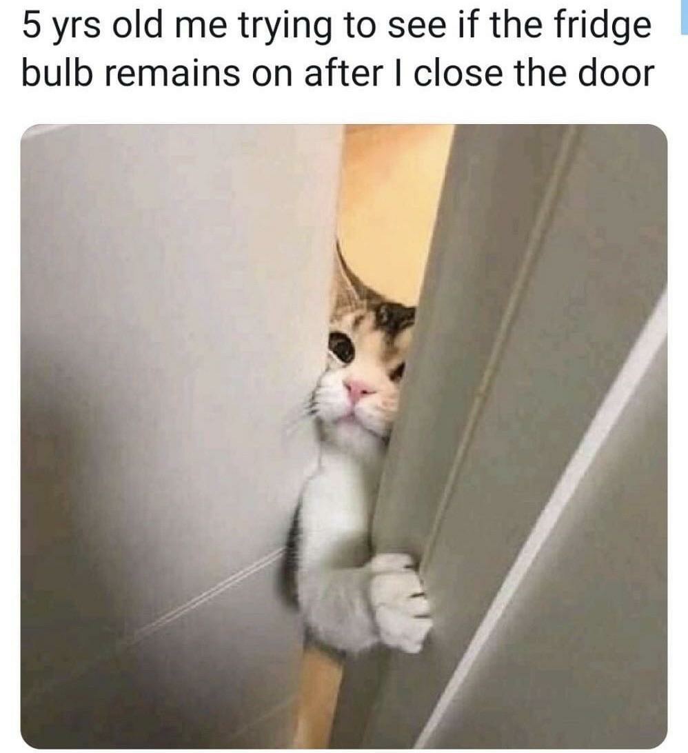 Same Day Service Company., Inc.