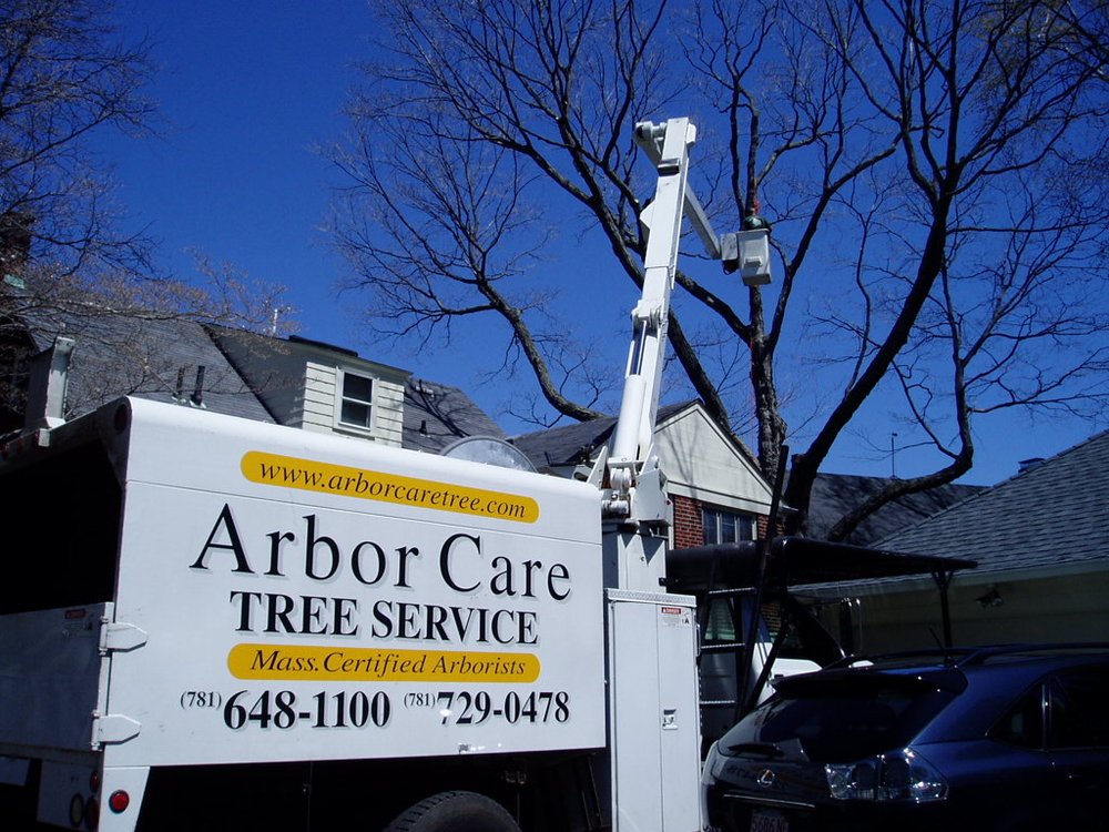 Photo credit: 