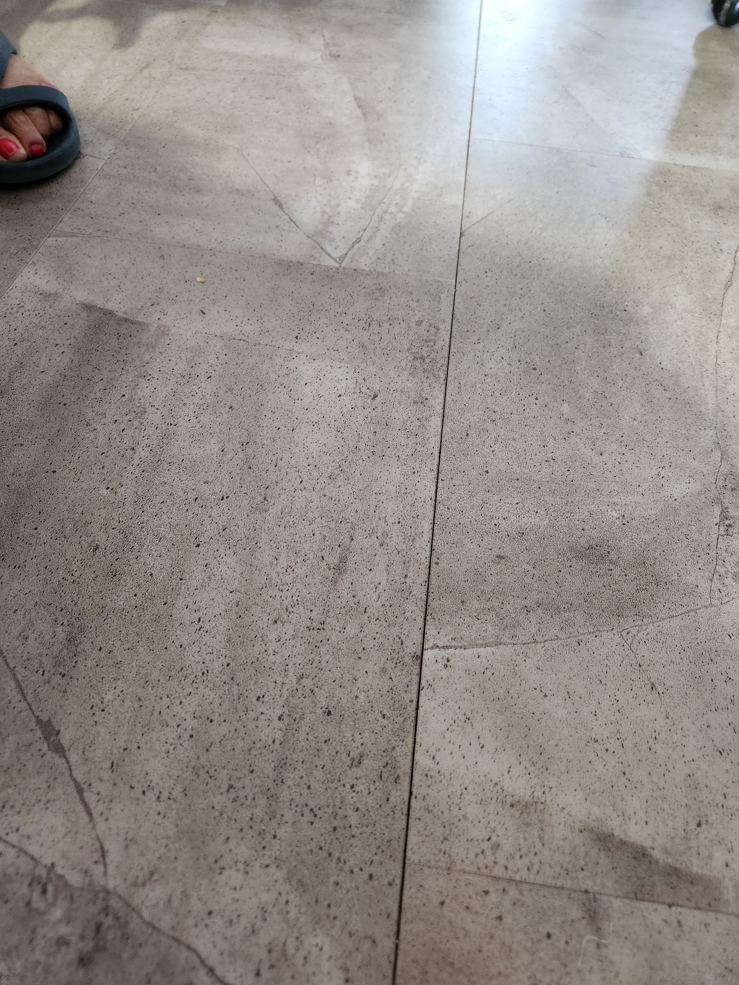 Canadian Carpet Outlet Winnipeg