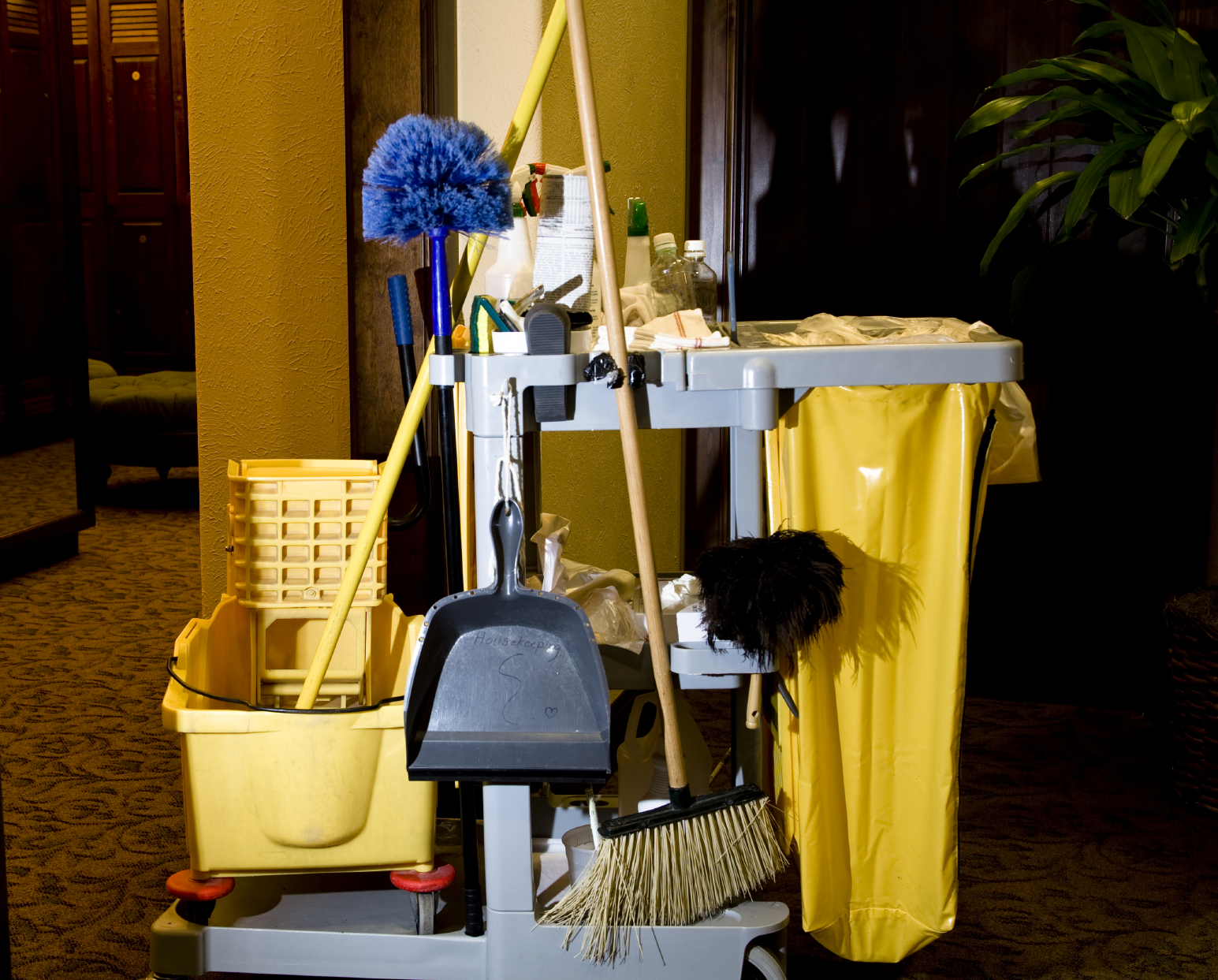 Waterfall Commercial and Janitorial Cleaning Service