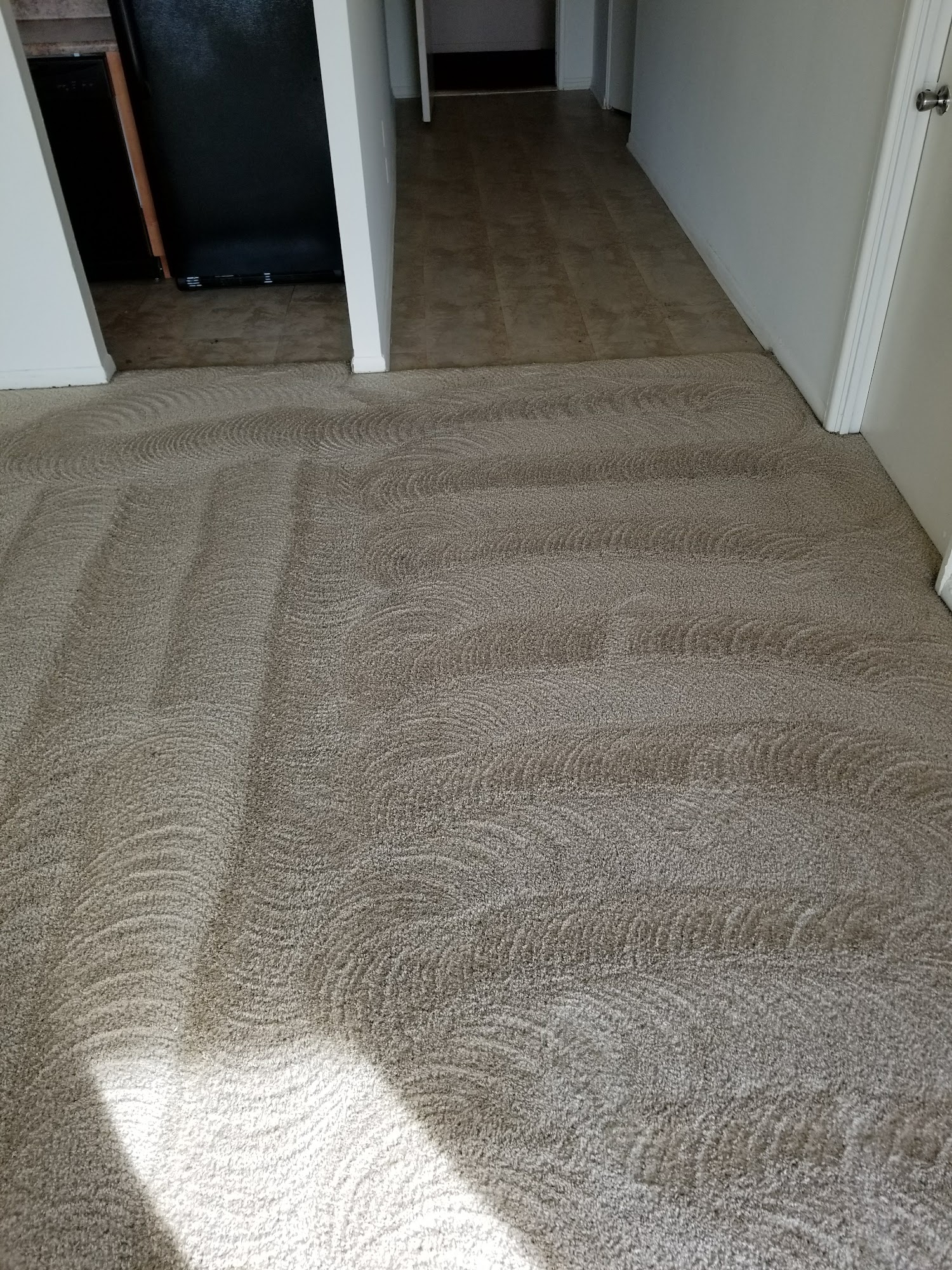 Infinite Carpet Cleaning