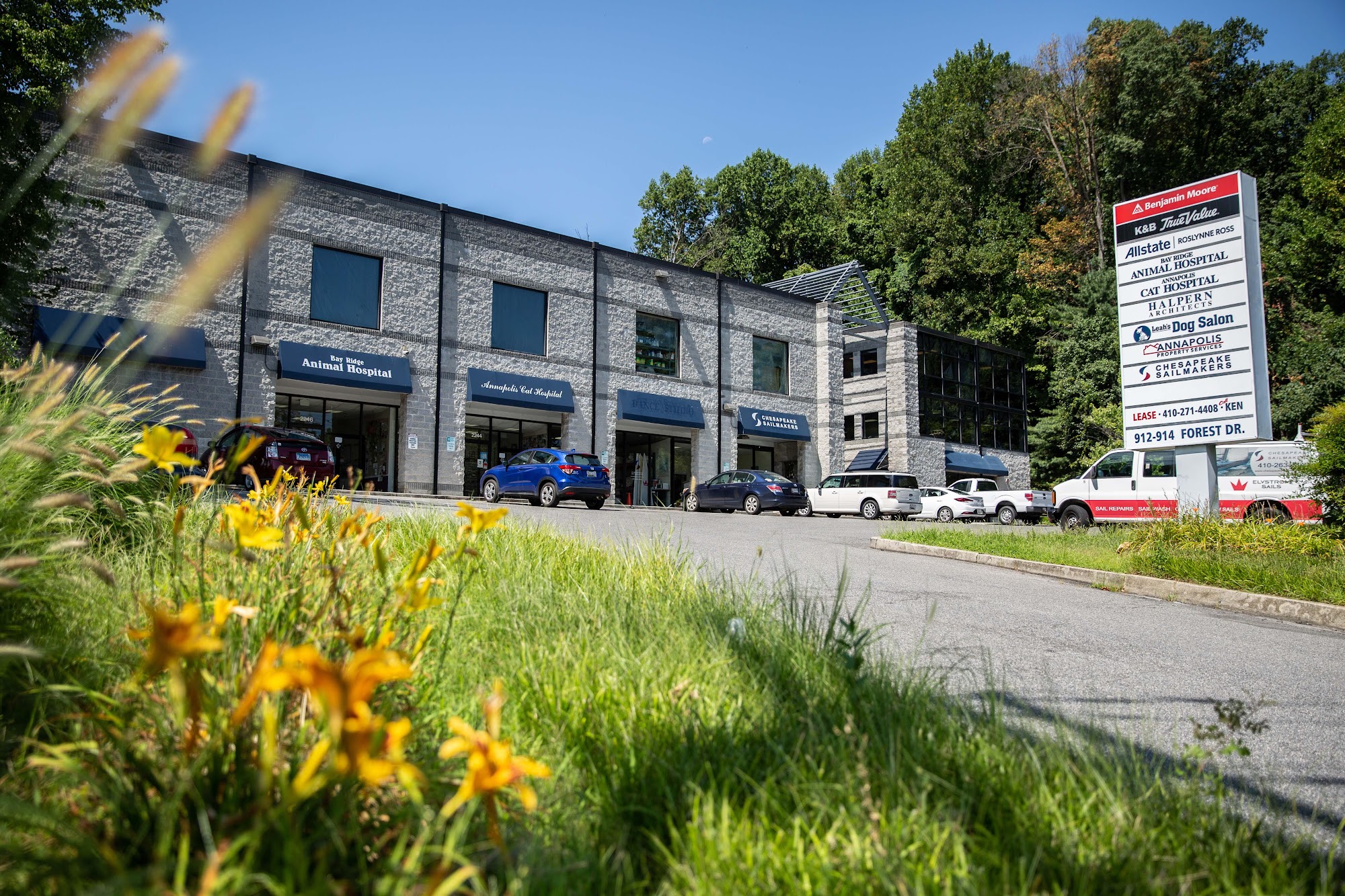Annapolis Cat Hospital Annapolis