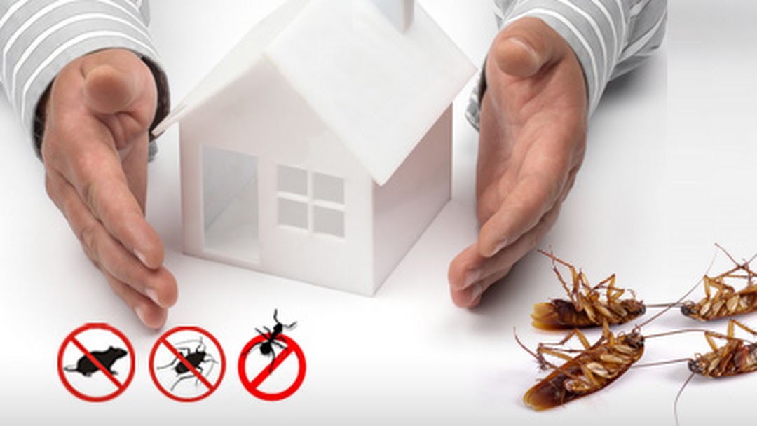 Statewide Exterminating Co., Inc.