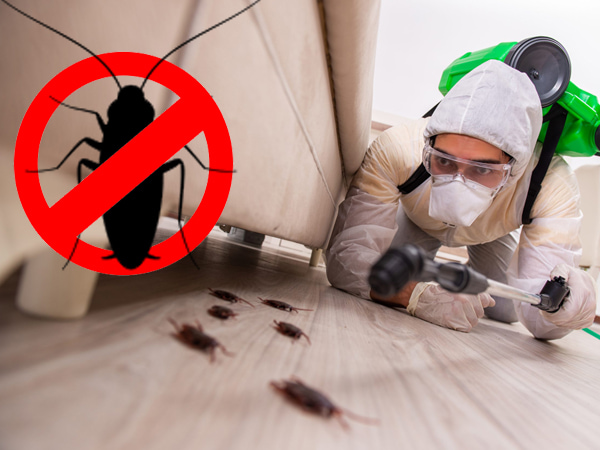 Statewide Exterminating Co., Inc.