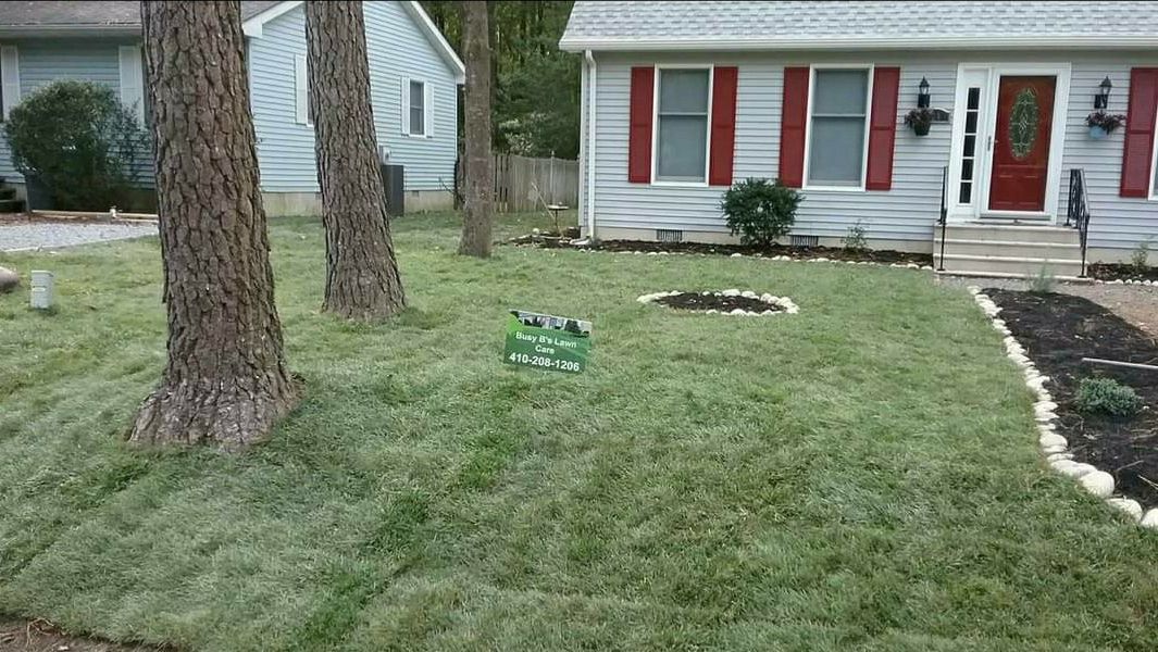 Busy b's lawn care