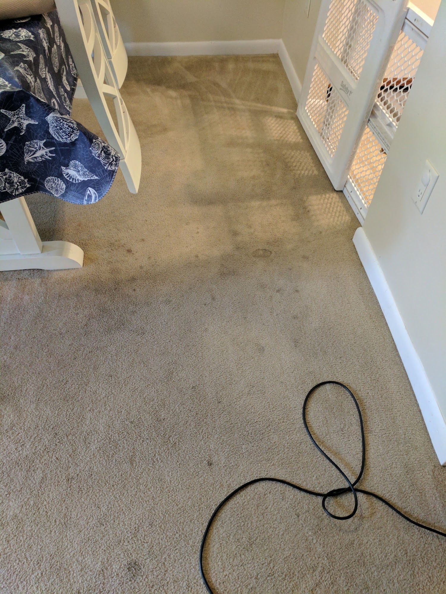 Beach Carpet Cleaning 11610 Mumford Rd, Bishopville Maryland 21813