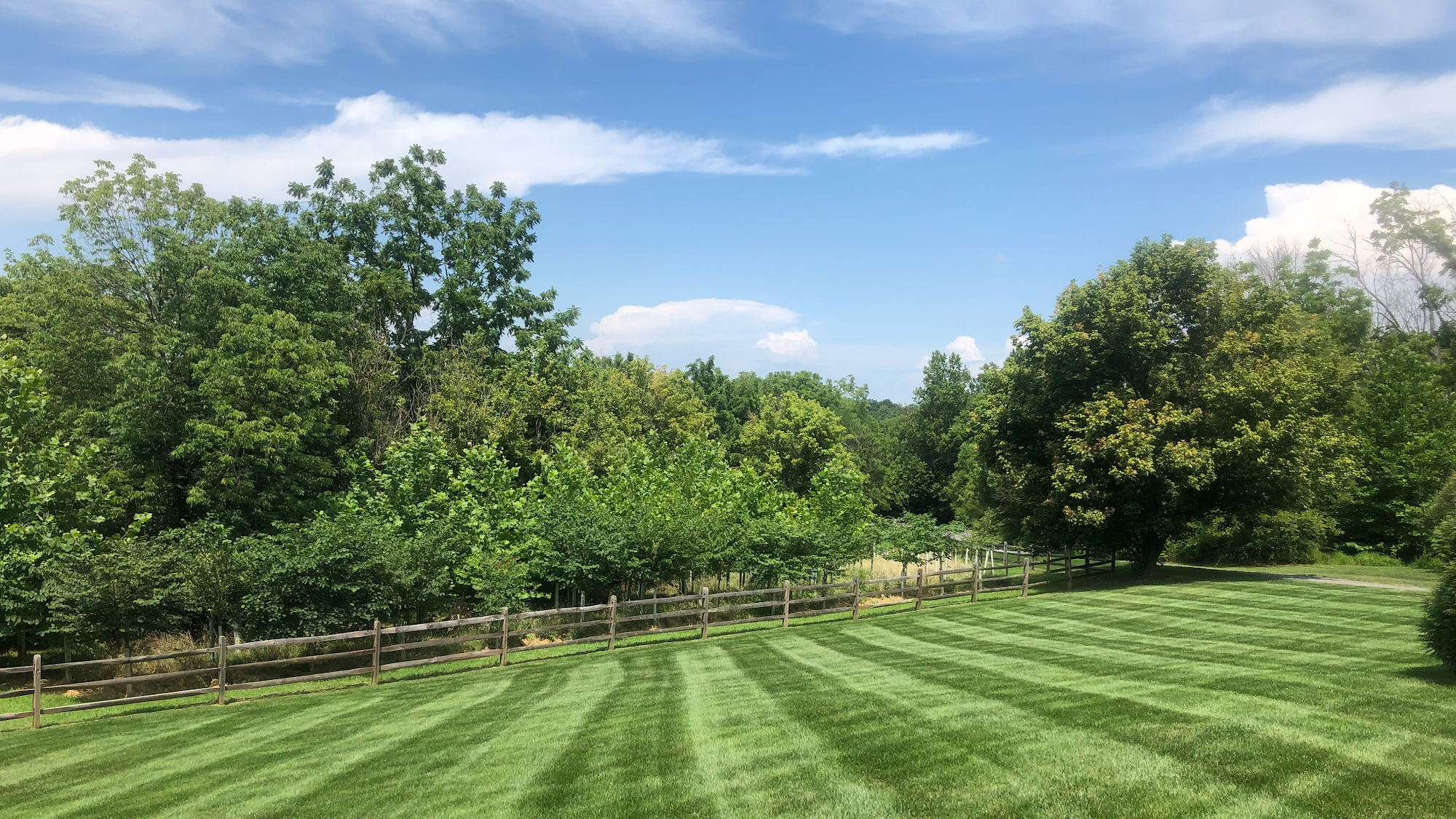 Quality Lawn Care LLC | Residential, Lawn Mowing, Landscaping & Full Property Maintenance