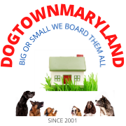DogtownMaryland 14200 Brandywine Rd, Brandywine Maryland 20613