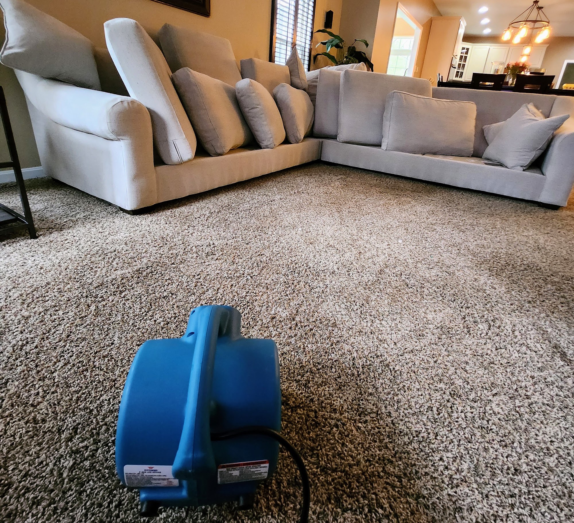 JMW Carpet Cleaning