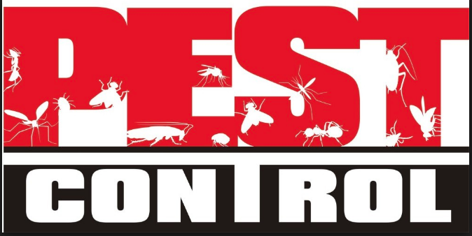 R & T Pest Control Services