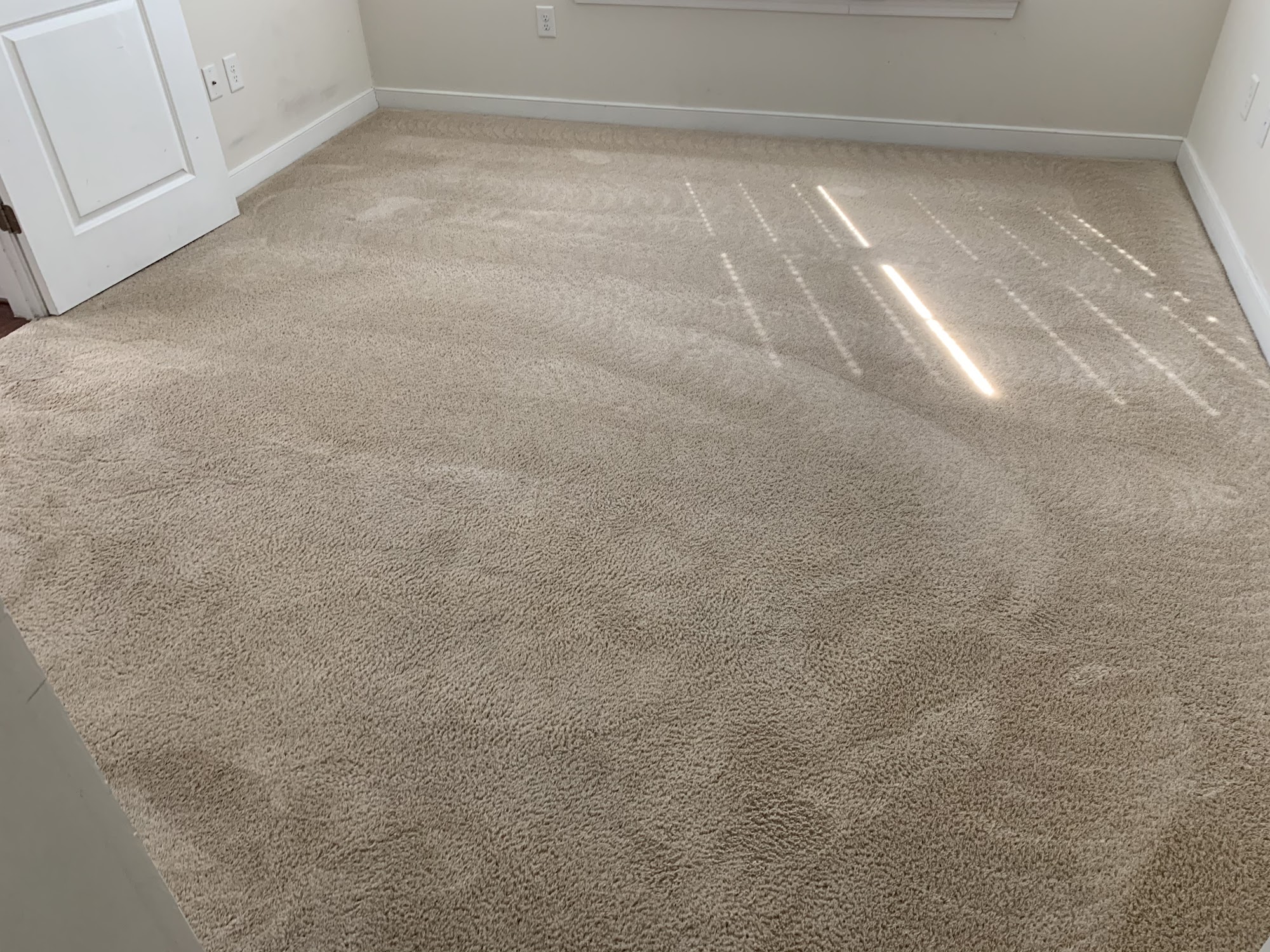 Dun-Rite Carpet & Upholstery