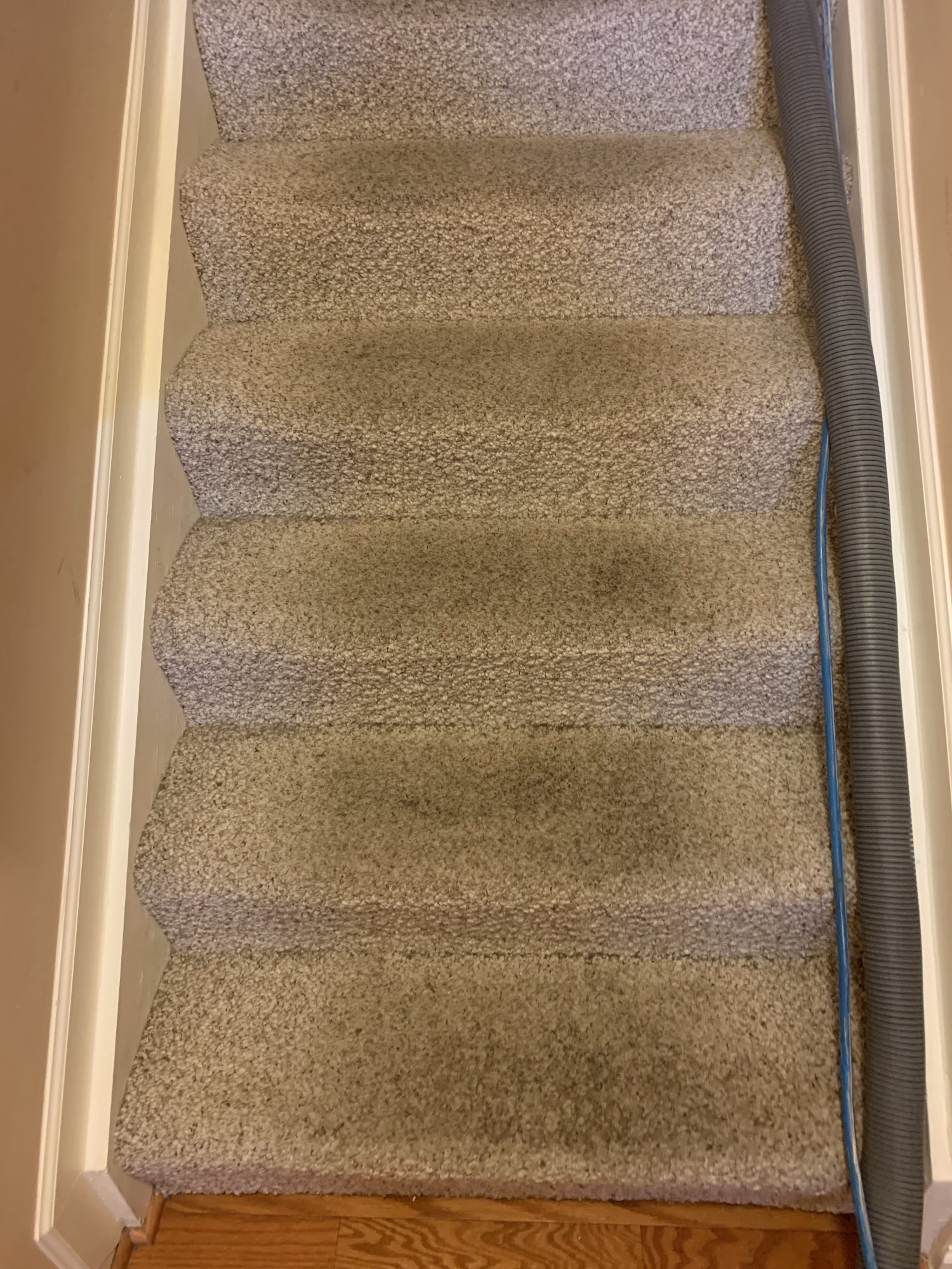 Maryland Carpet Cleaning Services 5024 Mt Carmel Rd, Hampstead Maryland 21074
