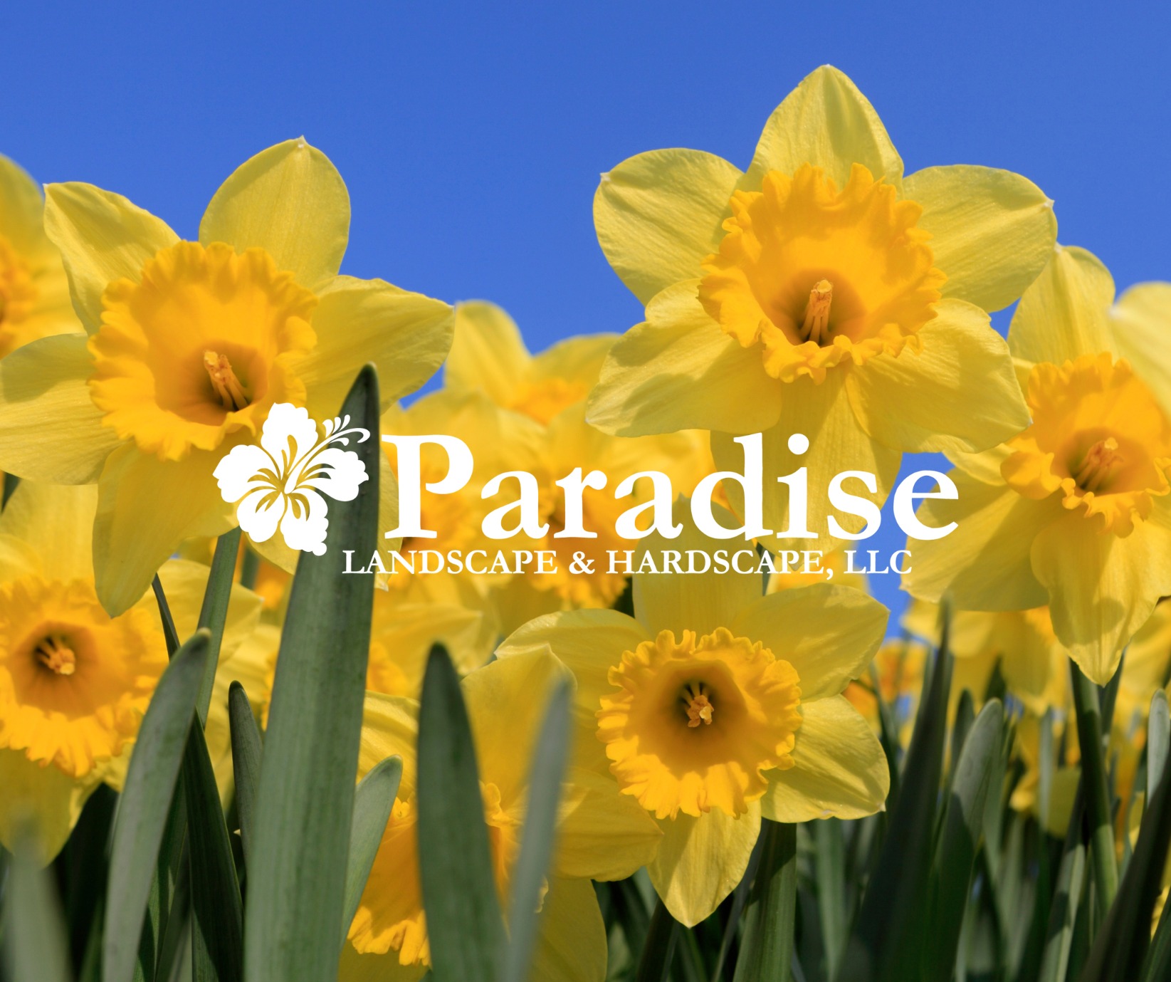 Paradise Landscape & Hardscape 321 S River Clubhouse Rd, Harwood Maryland 20776